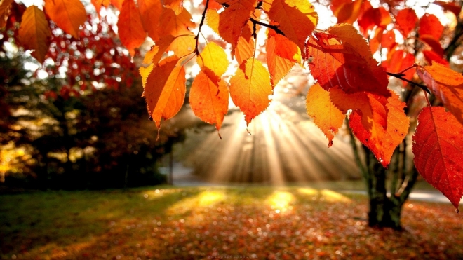 5 Reasons Fall is the Best Time of Year For Your Business
